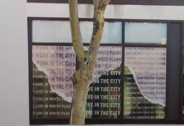 The White Plains BID and SUNY Purchase partnered up to fill vacant storefronts in the city's downtown with visual poetry. SUNY design students interpreted on-site poems created using the real experiences of city residents, workers, and shoppers.