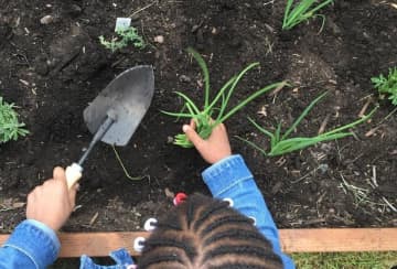 Community gardens are located throughout Passaic County.