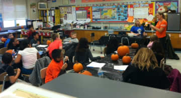 Children prepare to carve their pumpkins at Cottle Elementary