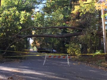 A large tree fell on the power lines on Wahackme Road in New Canaan on Sunday, New Canaan police said.