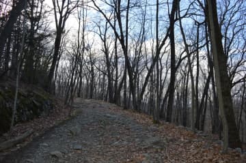 Hikers will take to the trails in Ringwood State Park on New Year's Day.