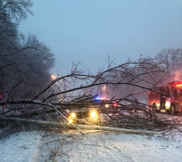 Greenwich still has numerous roads closed from downed trees and power lines.