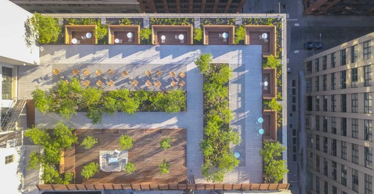 Blondie's Treehouse, Inc., installs exterior and interior plant-based selections in residencies and institutions.