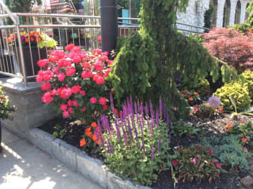 The Garden Club of Larchmont is to honor the Nautilus Diner for its "exceptional landscaping."