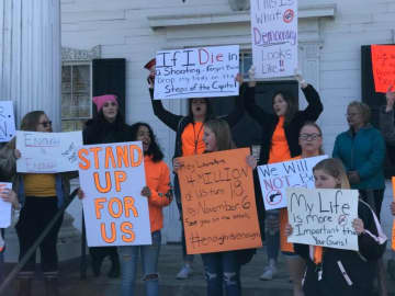 Students and alumni from several area schools at a rally against gun violence at the old Putnam County Courthouse in Carmel.