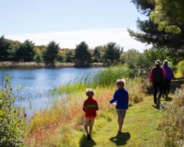 New Canaan's Grace Farms will host a variety of free Earth Day activities.