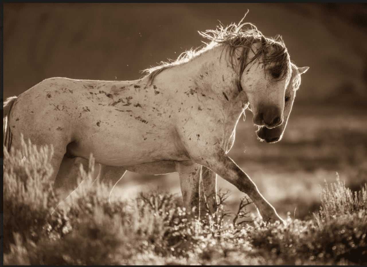 Caroline Christie
Colrain, MA
Photograph