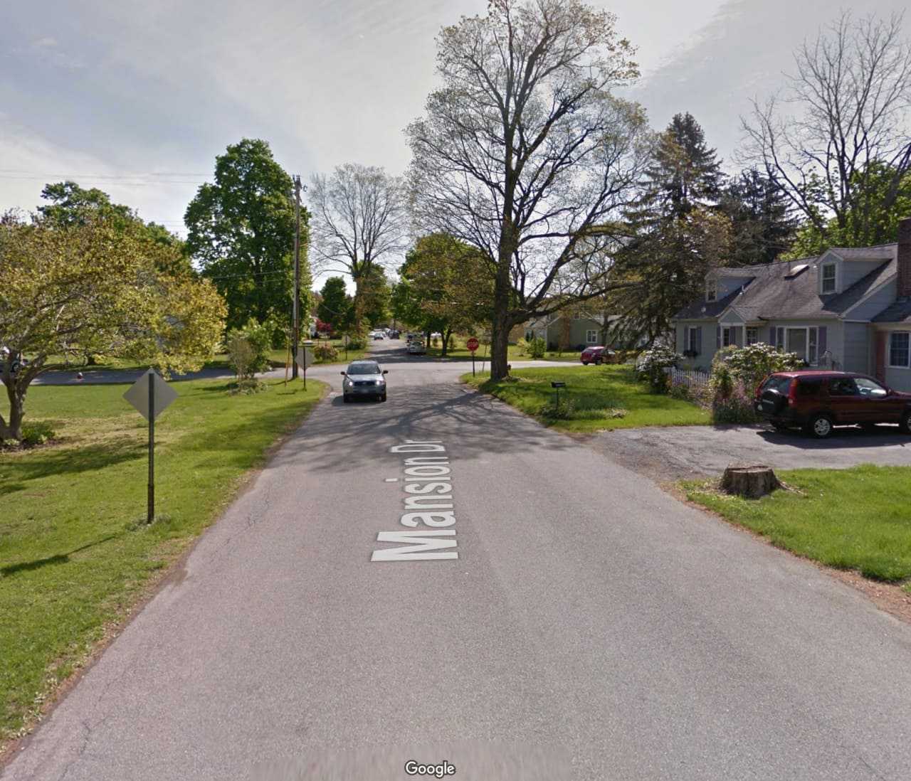 Mansion Drive in Hyde Park.