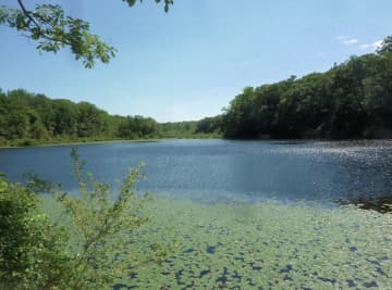 Cranberry Lake Preserve in North White Plains.