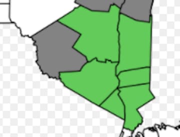 Counties that make up the Hudson Valley Region are shown in green. Sullivan, which is partially considered as being in the Hudson Valley, is it gray. It is included in the New York State COVID group for Mid-Hudson Valley.