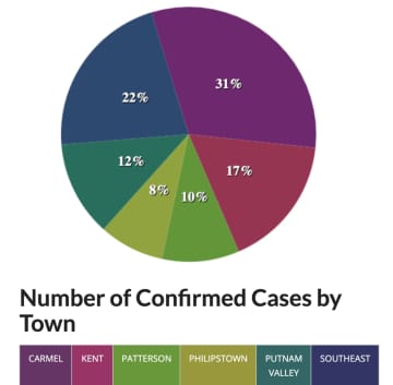 A breakdown of COVID-19 cases in Putnam County, by percentage.