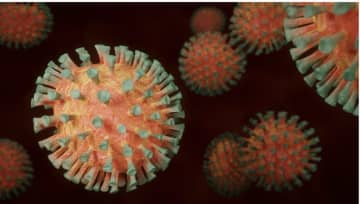 <p>The first case of the COVID-19 variant strain that is said to be approximately 70 percent more contagious has been confirmed in the United States.</p>