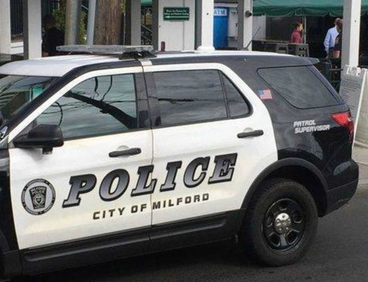 Milford Police arrested an area woman for alleged cruelty to animals after one of her dogs died with injuries.
