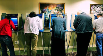 Voters at election polling booths