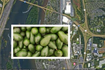 Avocados and a map showing where the crash happened.