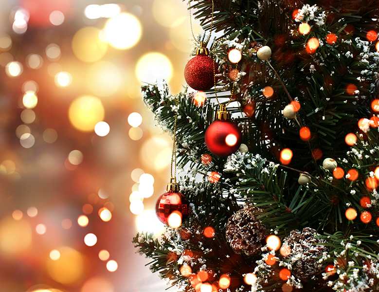 A parade and tree-lighting is scheduled in Newark's North Ward Friday