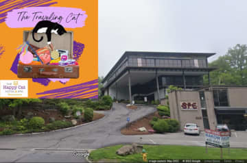The Happy Cat Hotel and Spa will open in Greenburgh at 313 Central Park Ave.