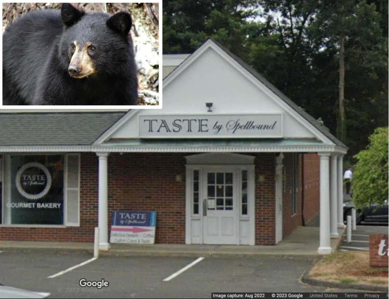 A bear broke into Taste by Spellbound in Avon, delaying the opening of the shop's South Windsor location.