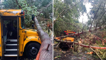 A tree entangled with wires fell on top of a school bus in Mahopac on Agor Lane, leaving 25 children stranded until the arrival of first responders.
