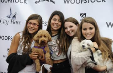 The pup-parazzi will be on hand at Woofstock to snap photos of locals with pups who need to be rescued.