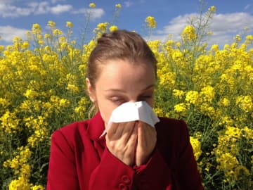 Suffering from allergies this spring? Theodore Falk, MD, shares several simple tips on how to minimize sneezes, sniffles and runny noses during peak season.