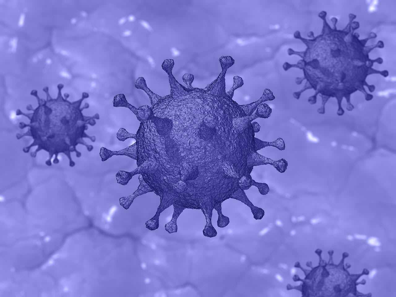 Here's the latest breakdown of COVID-19 cases in Massachusetts.