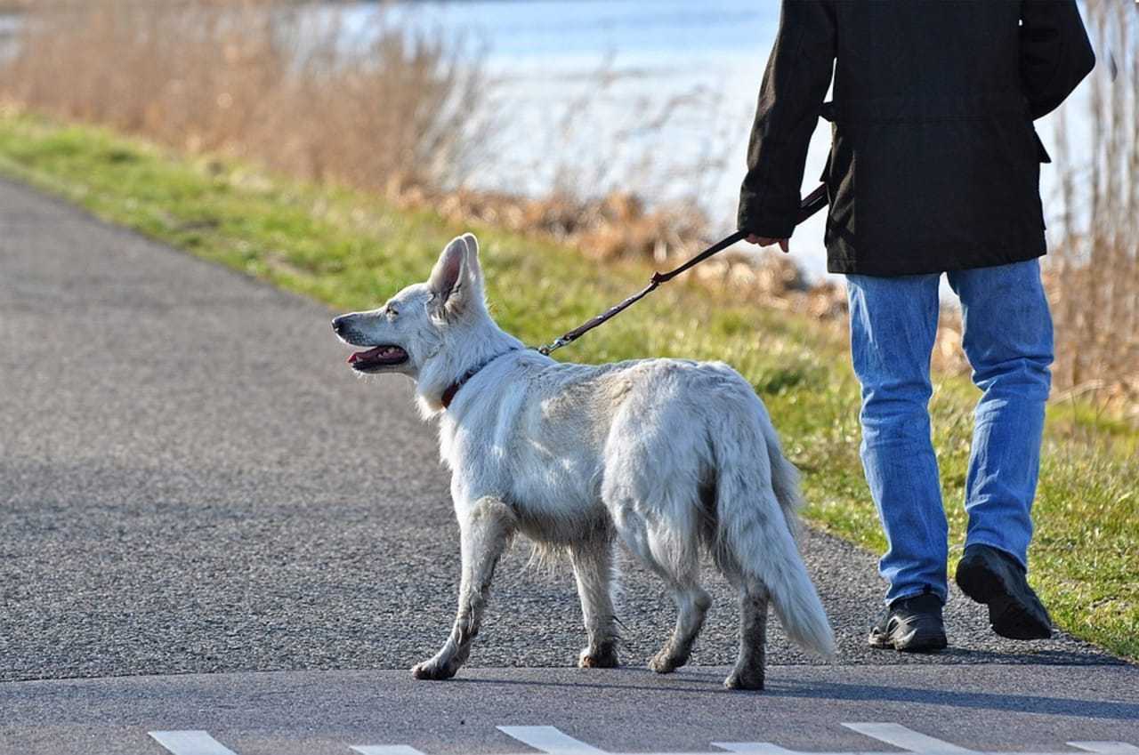 A man walking his dog.