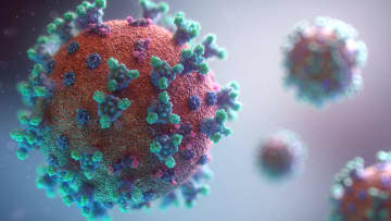 A new highly contagious COVID-19 variant that evolved from the Omicron strain has now been labeled "a variant of interest" by the World Health Organization.