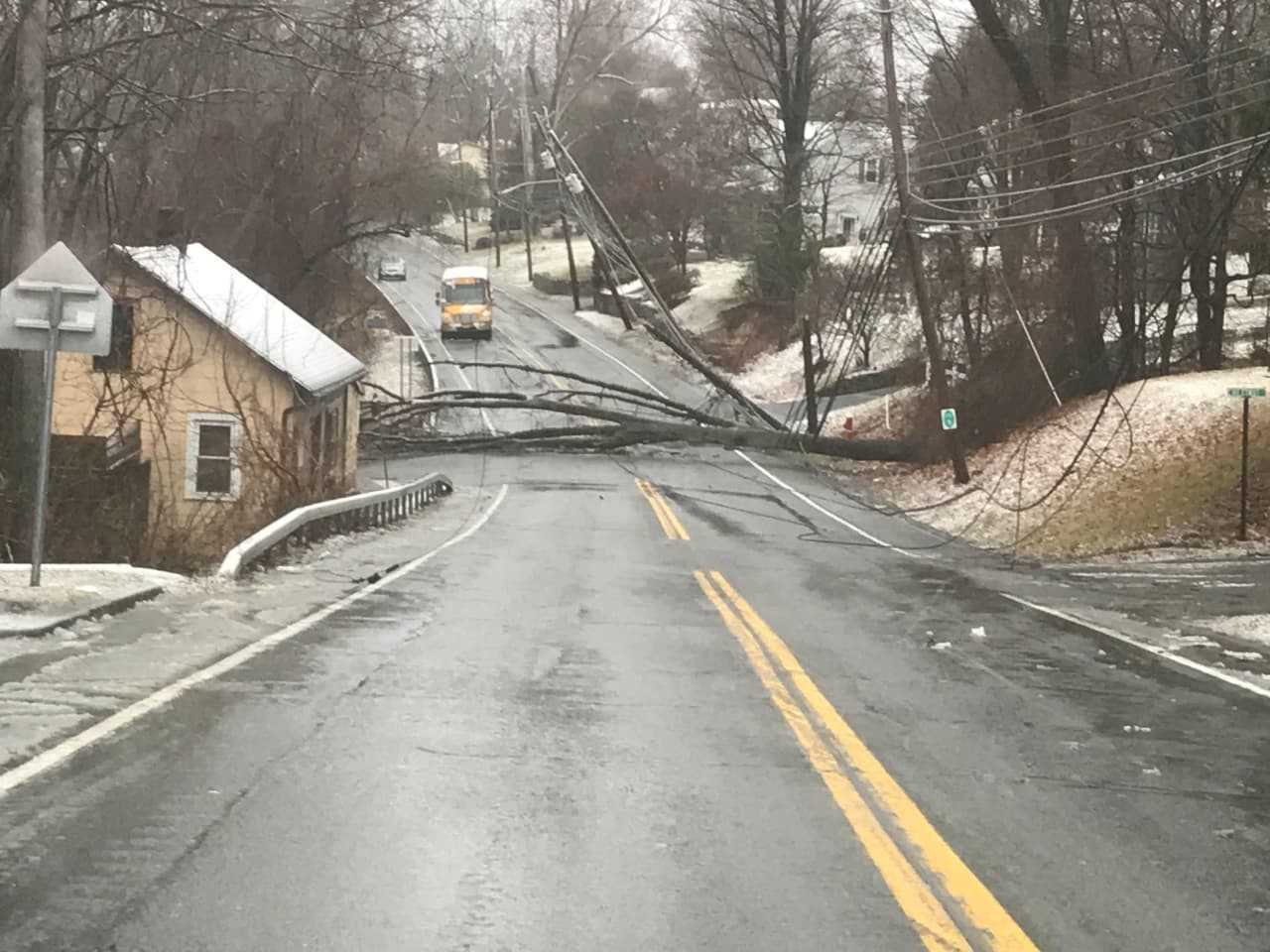 A downed tree in the area Friday.