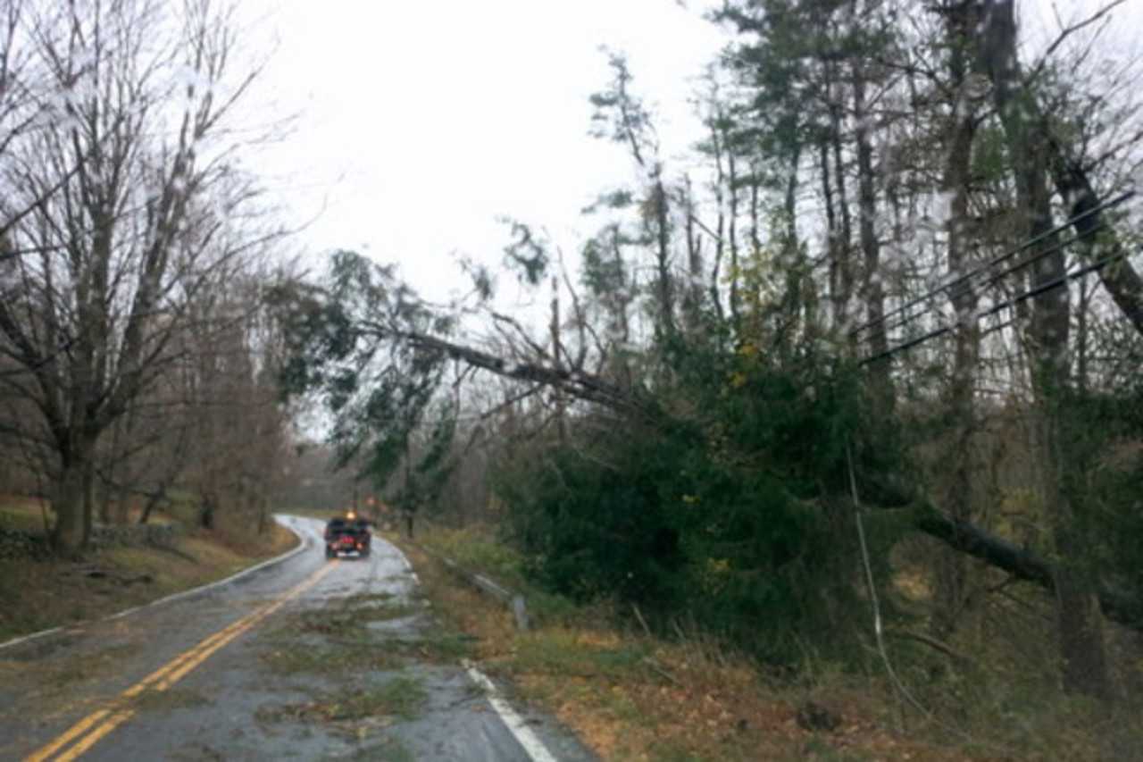 The Lower Hudson Valley was filled with downed trees following Superstorm Sandy.