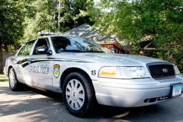 Wilton police have arrested two Lennon Lane neighbors after a dispute over a tree reportedly escalated into charges of breach of peace and criminal mischief.