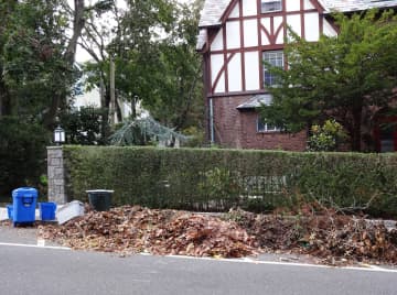 Residents in areas zoned for lots of one acre or less are asked to rake all of their leaves into the curb.