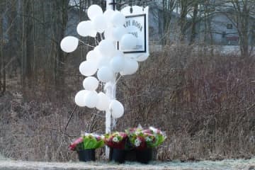 The New York Daily News obtained an audiotape of a radio interview that is believed to be Sandy Hook shooter Adam Lanza. 