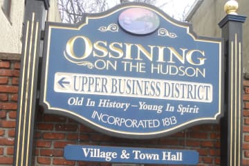 The town of Ossining is looking to fill a vacancy on its Environmental Advisory Committee. 