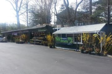 Geigers will celebrate the grand opening of its new location in New Canaan on Saturday. The home and garden center is at 295 Frogtown Road.