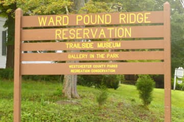 Ward Pound Ridge Reservation - home of the Trailside Museum
