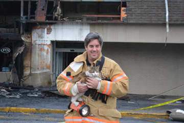 Former Mahopac Fire Capt. Michael Klein retrieves a cat named Daisy.