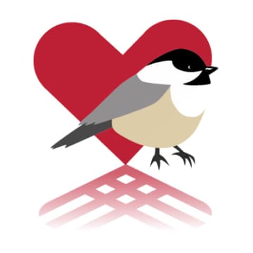 Bedford Audubon will give back to the community for Giving Tuesday.