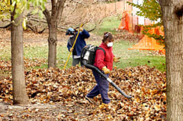 A Pound Ridge resident talks about leaf blowers and the environment.