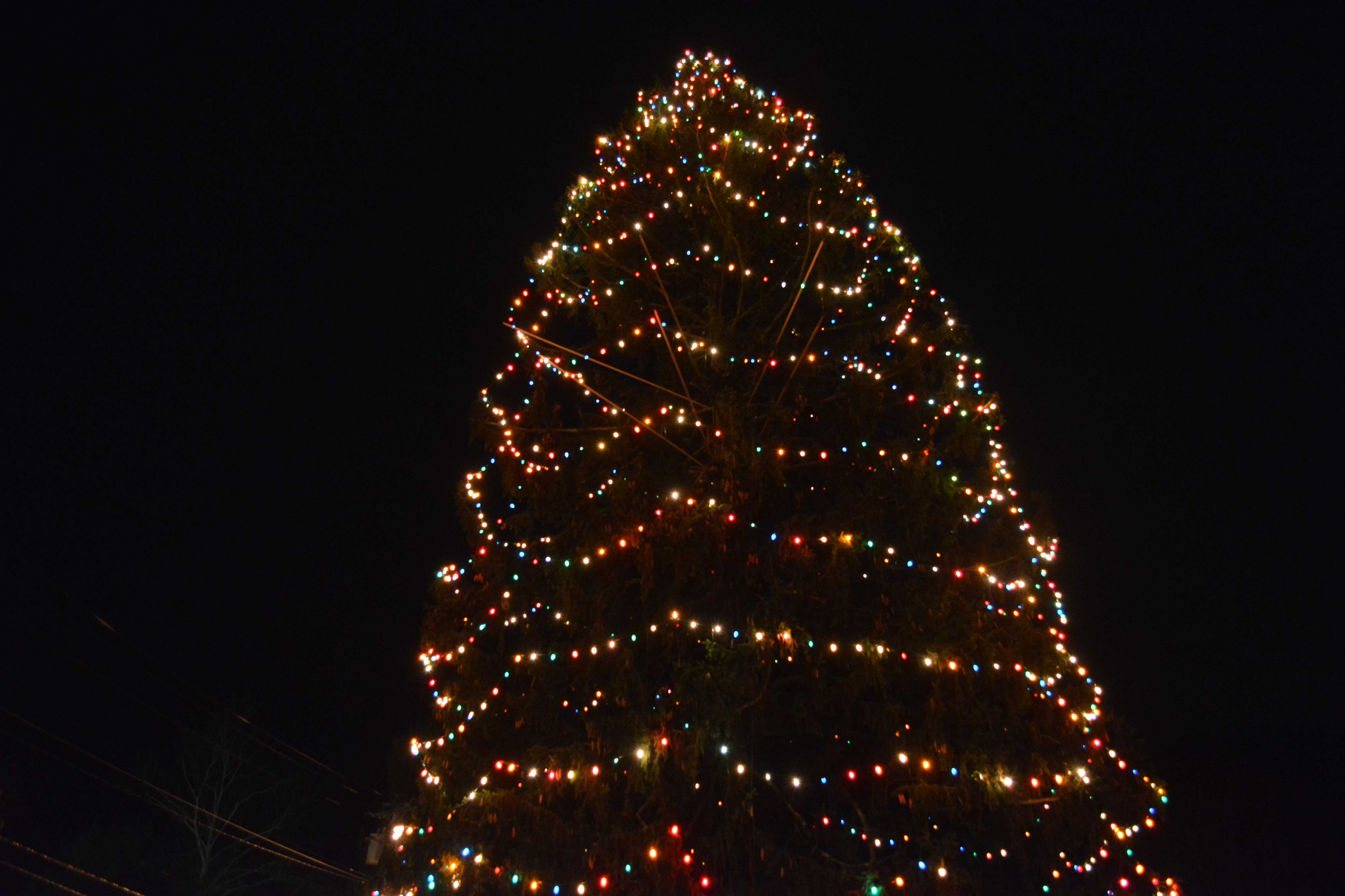 The lit Christmas tree in downtown Katonah.