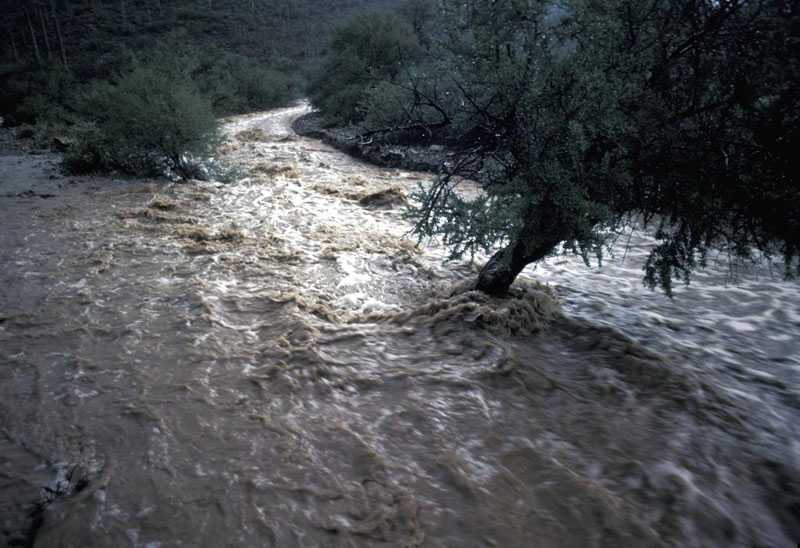 Rye organizations are hosting a presentation on flood migration.