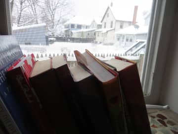 A good day to stay in and book it. The Mamaroneck Public Library is open.