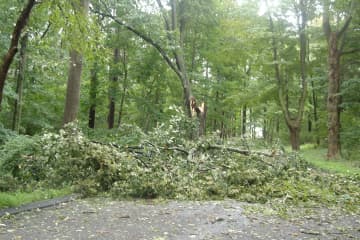 If you have pictures of storm damage from Hurricane Sandy, send them to us, Wilton.