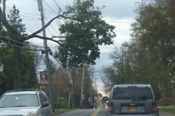 Downed trees and branches hanging on wires can be seen throughout Harrison after Hurricane Sandy.