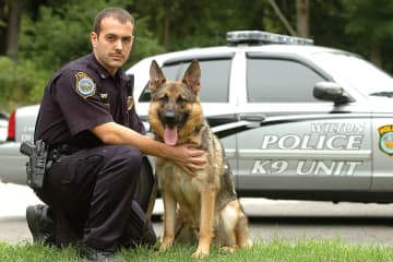 Wilton Police K-9 Enzo with his handler, Officer Steven Rangel. 