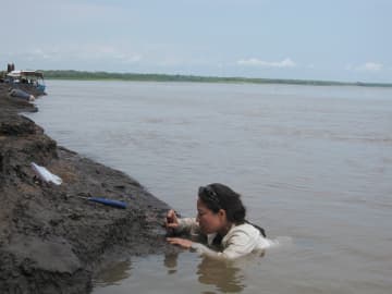 Ana Balcarcel collecting mammal fossils from Peruvian Amazon.