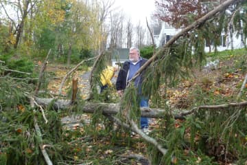 Trees fell all over town when Hurricane Sandy hit Wilton in late October. This one fell in front of the office of dentist Dominick Agostin. 