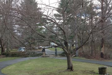 Wilton resident Maya Boreen sent in this photo of men cutting into a fallen tree outside her home on Heather Lane. 