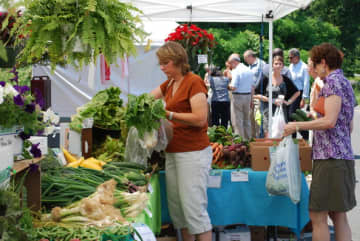 Phelps Hospital officials say the professional market manager assisting them with the Sleepy Hollow Farmers Market at Phelps, has backed out of the upcoming season.