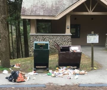 Delaware Water Gap National Recreation Area officials have reported an increase in the number of illegal dumping and vandalism incidences throughout the park in both New Jersey and Pennsylvania.